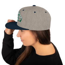 Load image into Gallery viewer, Go BIRDS Dream Big Snapback Hat