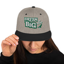 Load image into Gallery viewer, Go BIRDS Dream Big Snapback Hat
