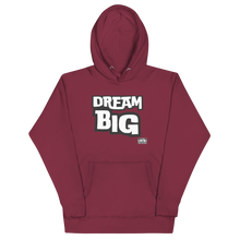 Load image into Gallery viewer, DReaM BiGUnisex Hoodie
