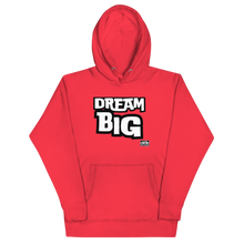 Load image into Gallery viewer, DReaM BiGUnisex Hoodie
